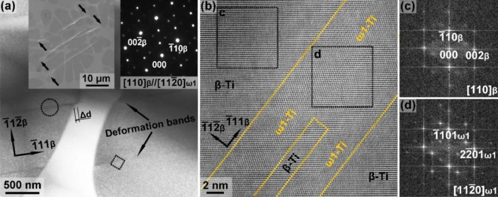 金属所|金属所《PRL》非晶内生亚稳β-Ti复合材料中的协同剪切