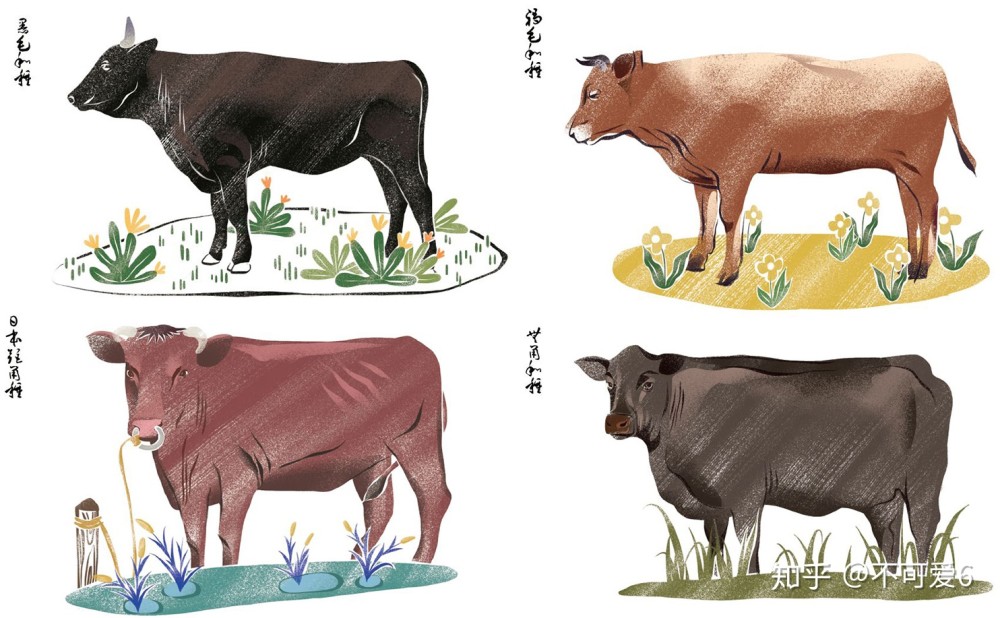 牛肉中的爱马仕解禁 日本和牛的知识 腾讯新闻