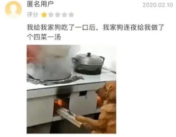 蛋炒饭|看完国外的蛋炒饭教学，我家狗子连夜给我做了四菜一汤