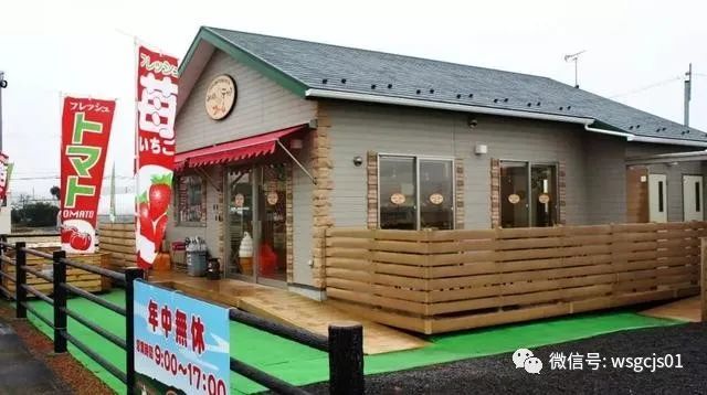 草莓|极致日本草莓采摘体验——看不见的地方才是细节