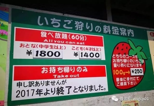 草莓|极致日本草莓采摘体验——看不见的地方才是细节