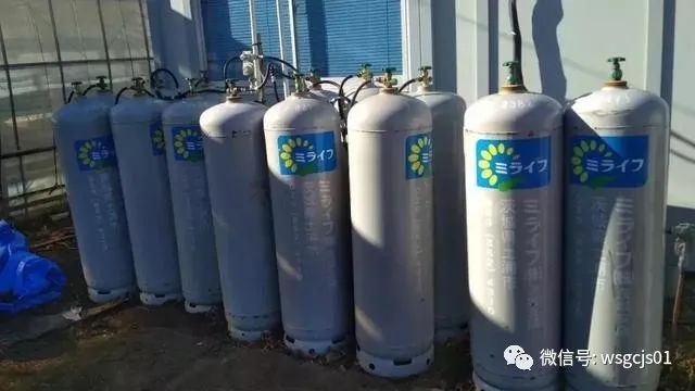 草莓|极致日本草莓采摘体验——看不见的地方才是细节