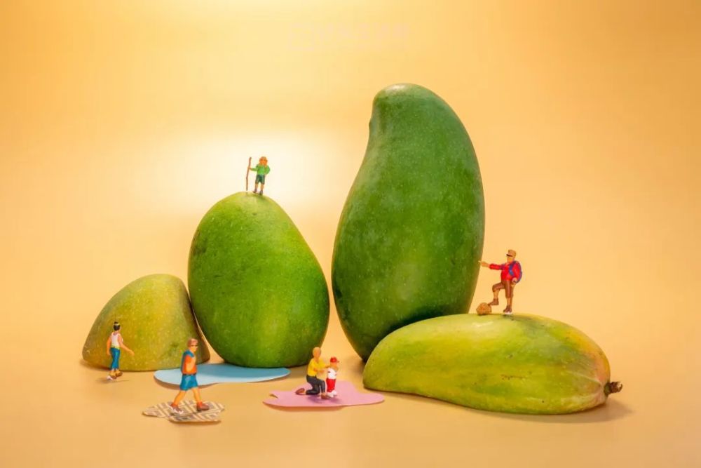 创意微观摄影一起进入芒果的造梦世界