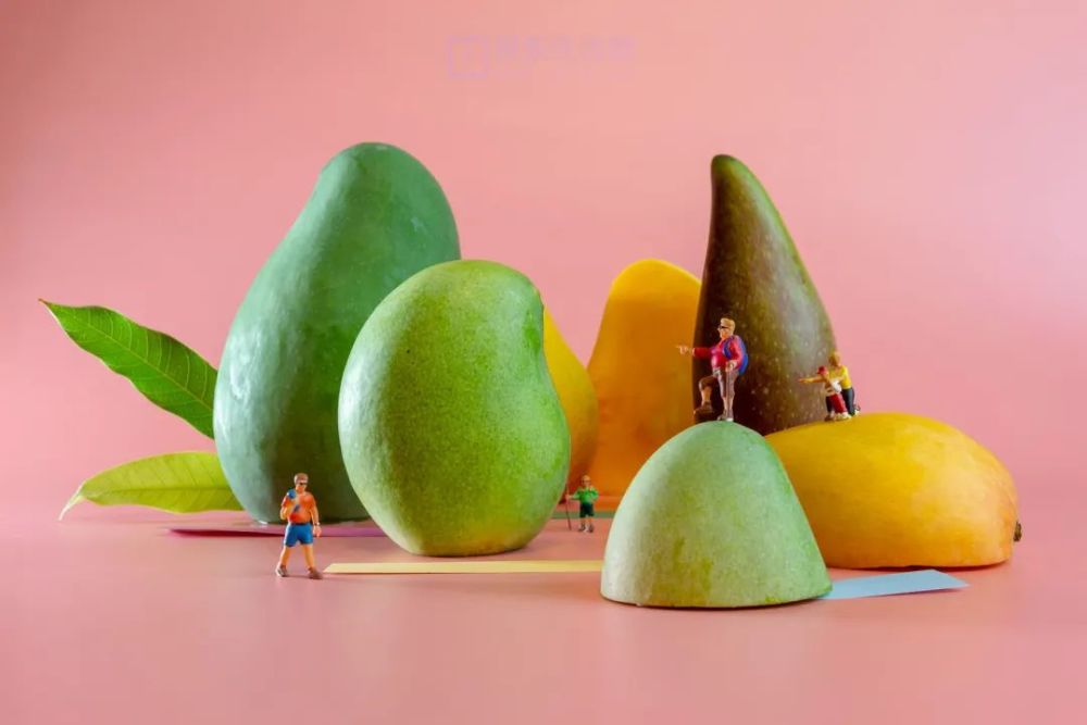 创意微观摄影一起进入芒果的造梦世界