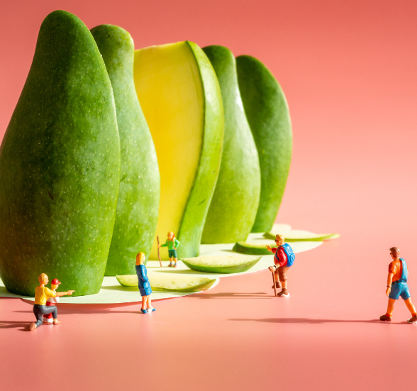 创意微观摄影一起进入芒果的造梦世界