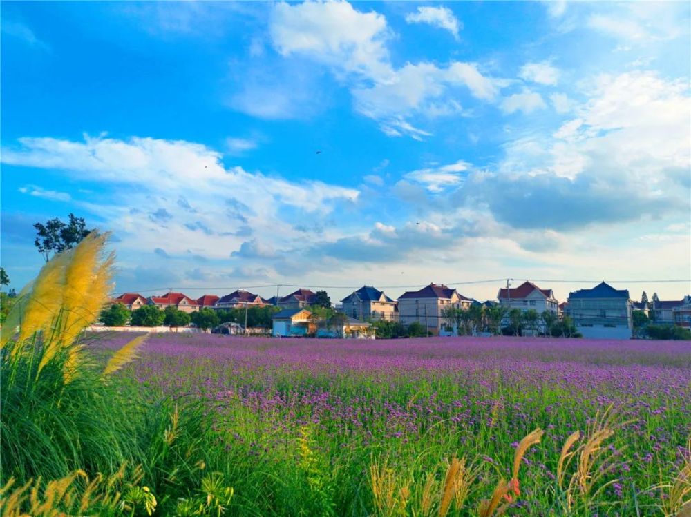 "水晶天"来啦!罗泾开启"美颜模式",一大波美图奉上