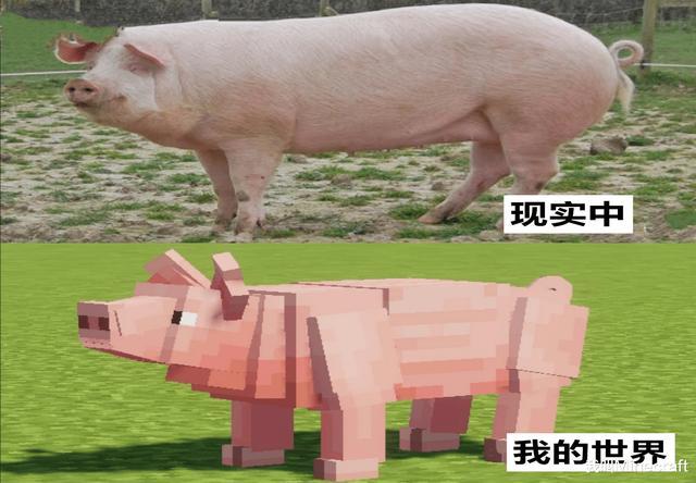 理论上 猪长这样才科学 来自minecraft老玩家的7个科学的提议 腾讯网