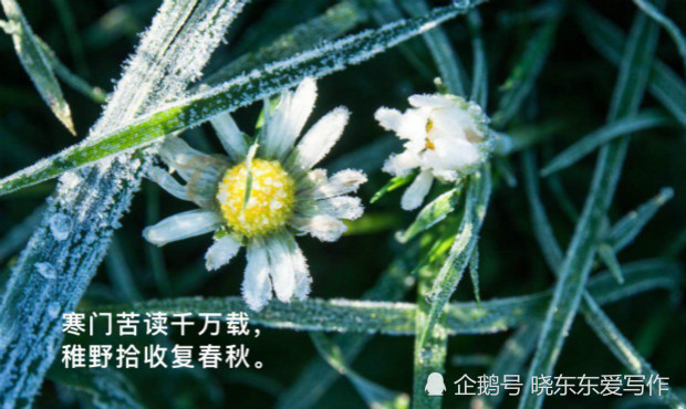 寒门|庞大的寒门类群，我们该何去何从？