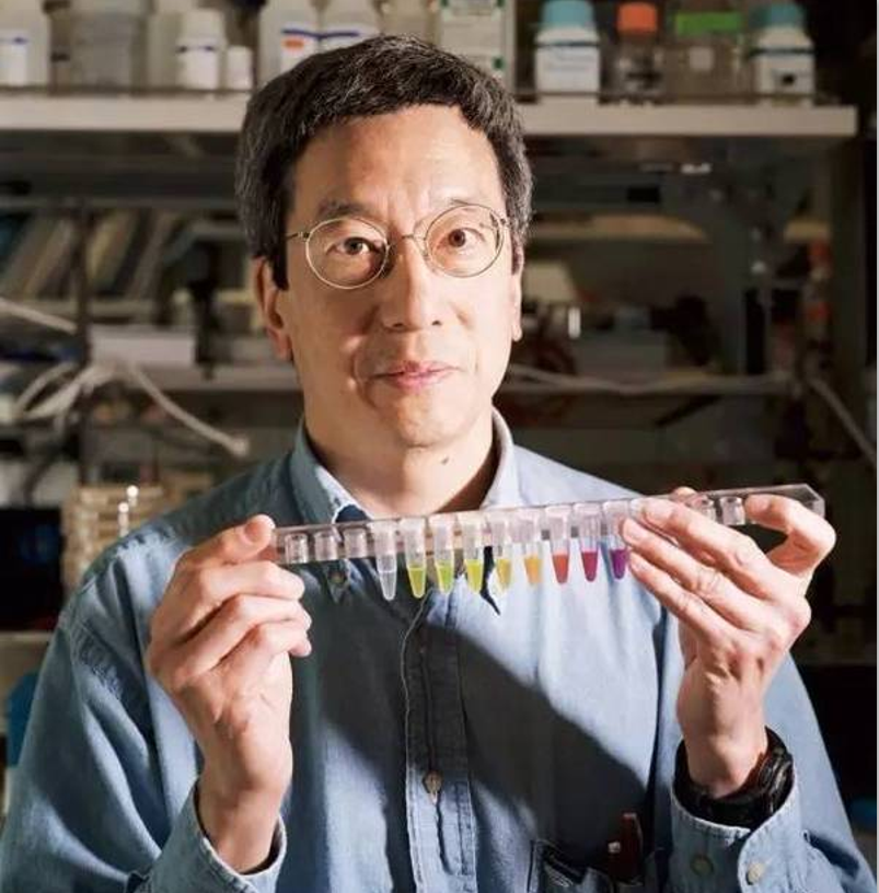 钱学森|他是钱学森的侄子，获诺贝尔奖，却说：我不是中国人，我在美国长大