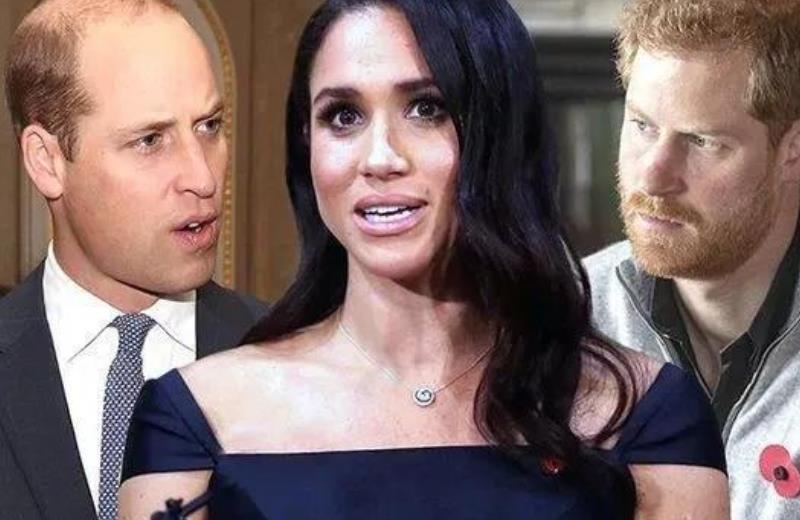 梅根王妃|兄弟因为梅根反目了？哈里不满继承权靠后，威廉批评弟弟色令智昏