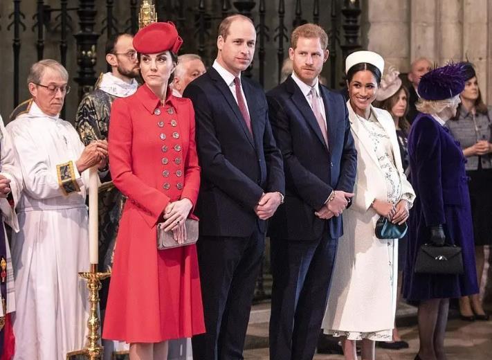 梅根王妃|兄弟因为梅根反目了？哈里不满继承权靠后，威廉批评弟弟色令智昏