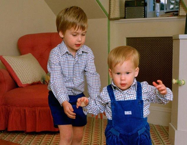 梅根王妃|兄弟因为梅根反目了？哈里不满继承权靠后，威廉批评弟弟色令智昏