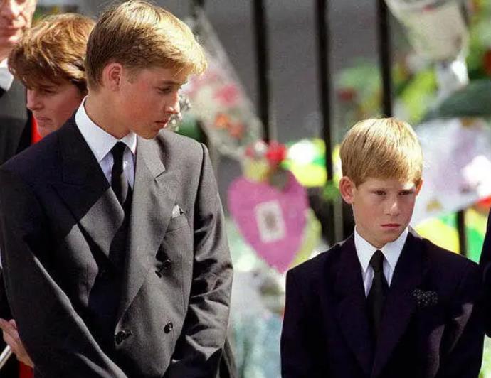 梅根王妃|兄弟因为梅根反目了？哈里不满继承权靠后，威廉批评弟弟色令智昏