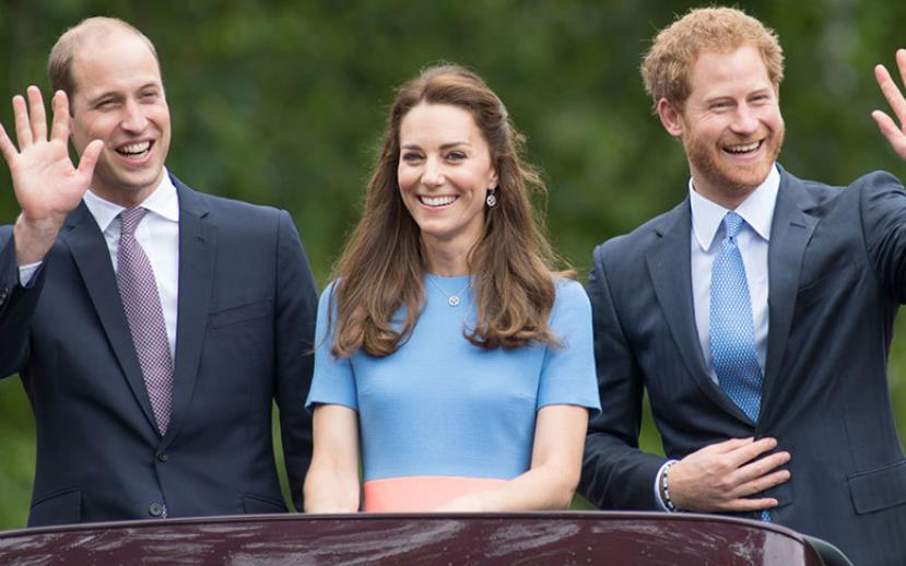 梅根王妃|兄弟因为梅根反目了？哈里不满继承权靠后，威廉批评弟弟色令智昏