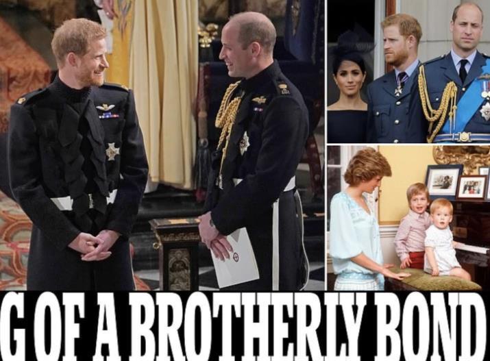 梅根王妃|兄弟因为梅根反目了？哈里不满继承权靠后，威廉批评弟弟色令智昏