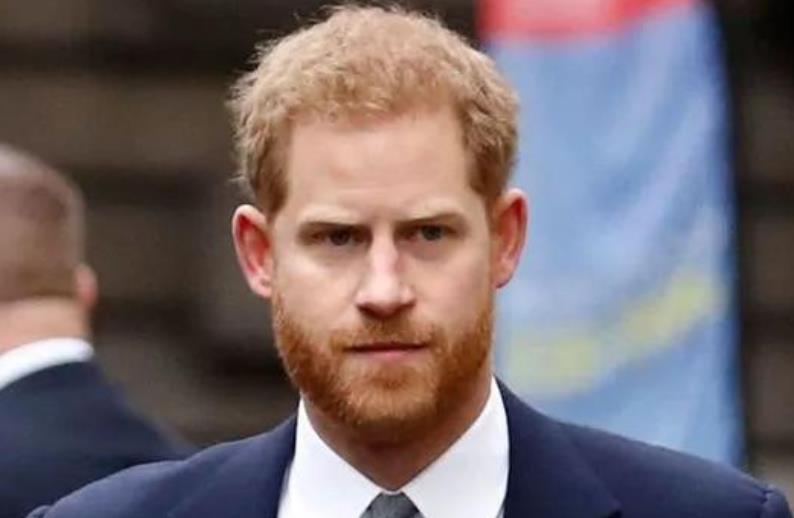 梅根王妃|兄弟因为梅根反目了？哈里不满继承权靠后，威廉批评弟弟色令智昏