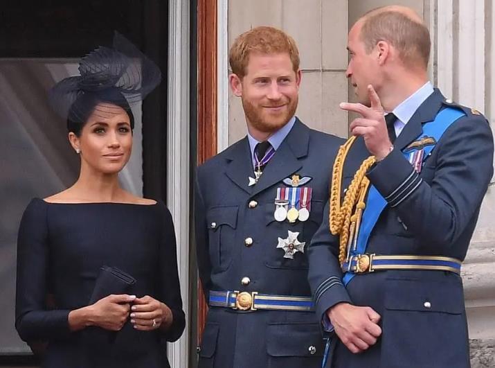 梅根王妃|兄弟因为梅根反目了？哈里不满继承权靠后，威廉批评弟弟色令智昏