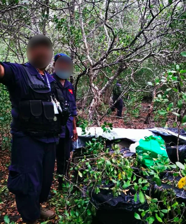 毒品|用小型飞机运送500公斤毒品却因太重导致坠机，多名毒贩落网