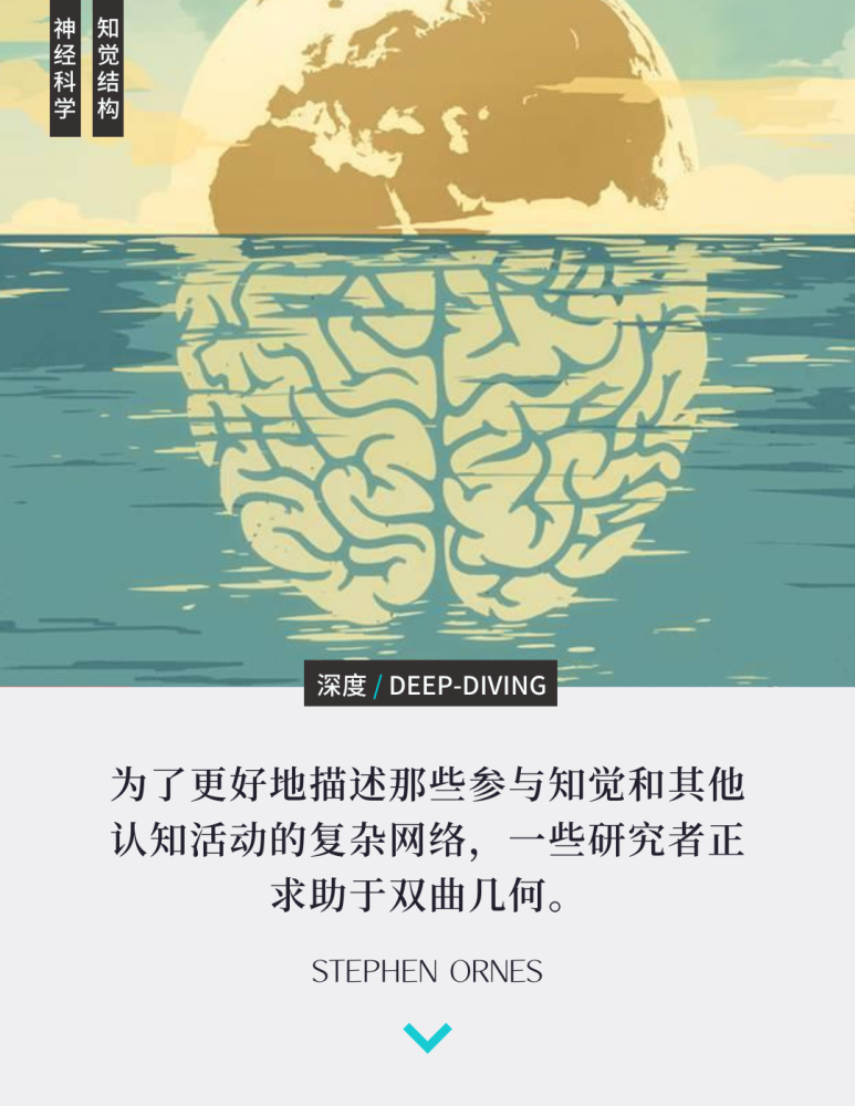 人类的大脑是一个奇迹,也是一个演化之谜:860亿左右的神经元被塞进