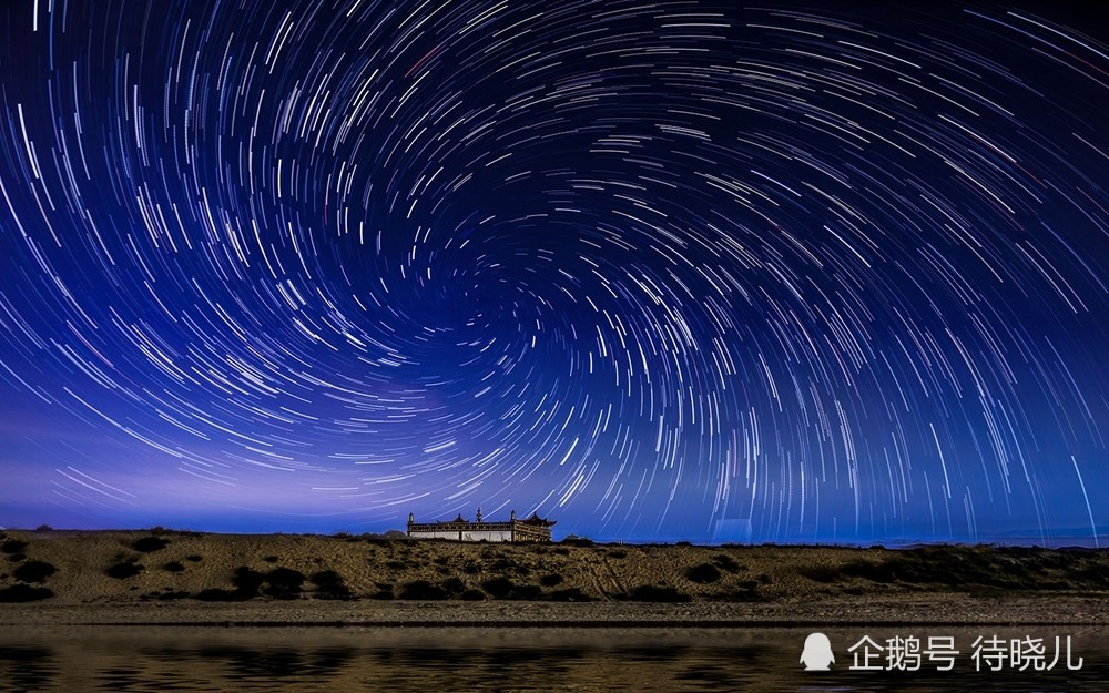 物种|为何在已知的物种里，只有人类进化出了高等级的现代文明？