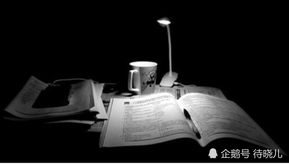 物种|为何在已知的物种里，只有人类进化出了高等级的现代文明？