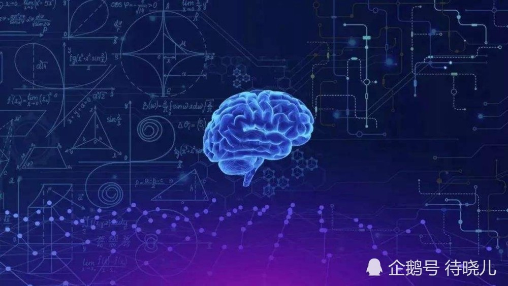 物种|为何在已知的物种里，只有人类进化出了高等级的现代文明？