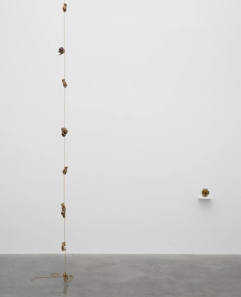 凯莉·明石|材料的触感——Kelly Akashi的雕塑作品欣赏