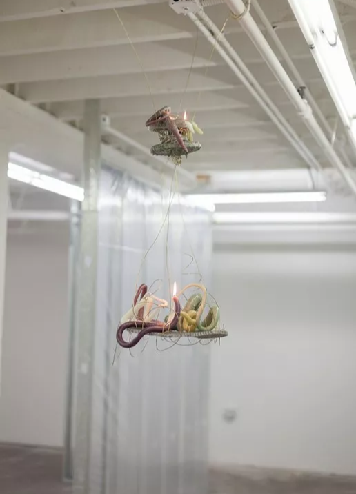 凯莉·明石|材料的触感——Kelly Akashi的雕塑作品欣赏