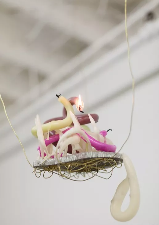 凯莉·明石|材料的触感——Kelly Akashi的雕塑作品欣赏