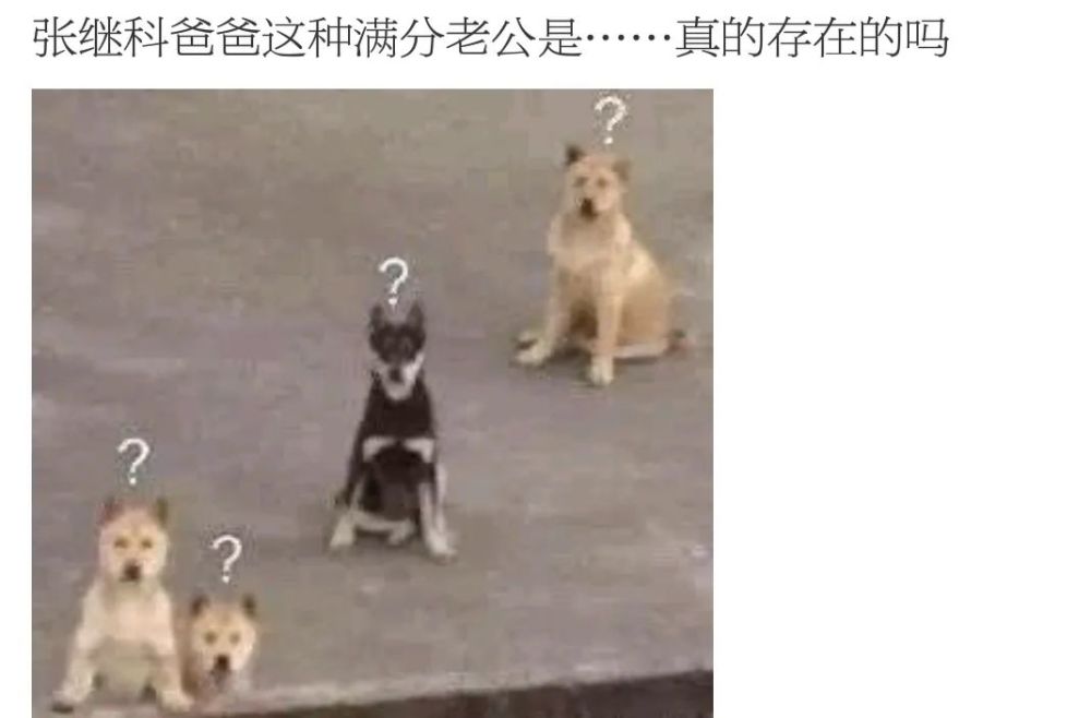 张爸|被老公和儿子宠成公主是怎样的体验？她绝对有资格答