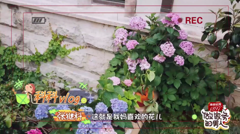 张爸|被老公和儿子宠成公主是怎样的体验？她绝对有资格答