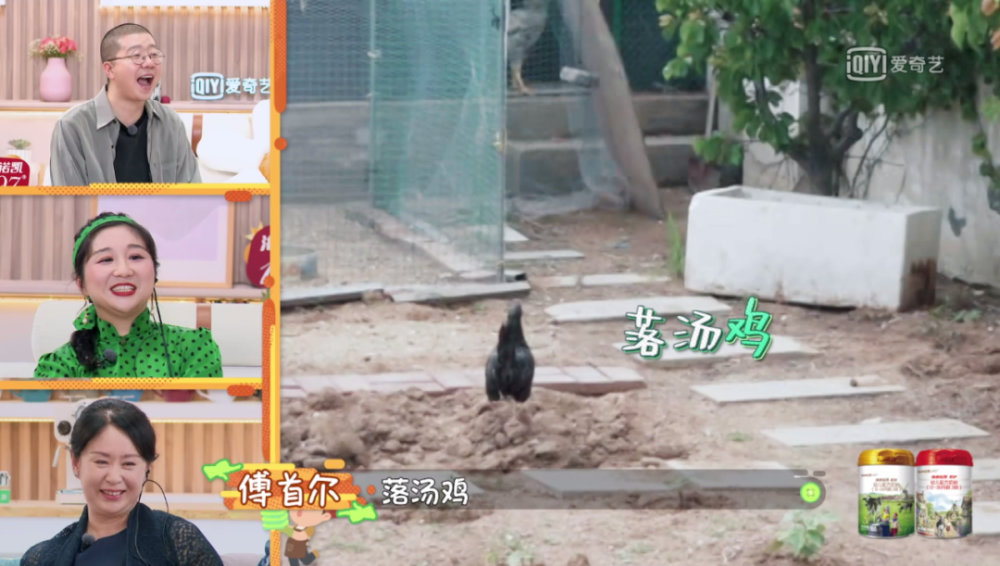 张爸|被老公和儿子宠成公主是怎样的体验？她绝对有资格答