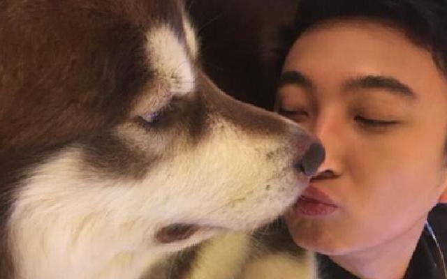 王思聪|“娱乐圈纪检委”王思聪与“夜店小王子”郑恺，两人为此而成为朋友