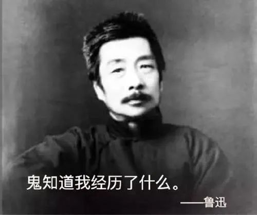 网红|网红的财富密码，无下限