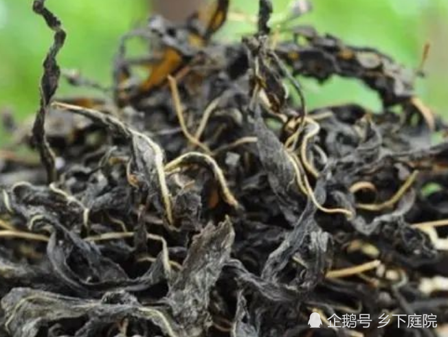 叶子|农村1种作物，多数人只知道种子大有作用，却把叶子浪费，太可惜了！