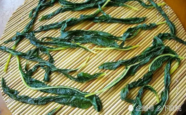 叶子|农村1种作物，多数人只知道种子大有作用，却把叶子浪费，太可惜了！