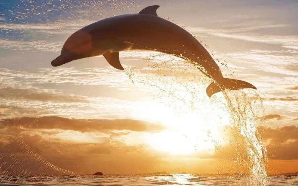 没有你万般精彩皆枉然|刘冰朗诵《没有你万般精彩皆枉然》