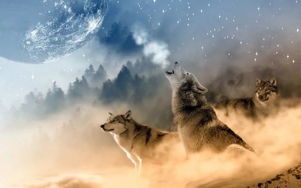 没有你万般精彩皆枉然|刘冰朗诵《没有你万般精彩皆枉然》