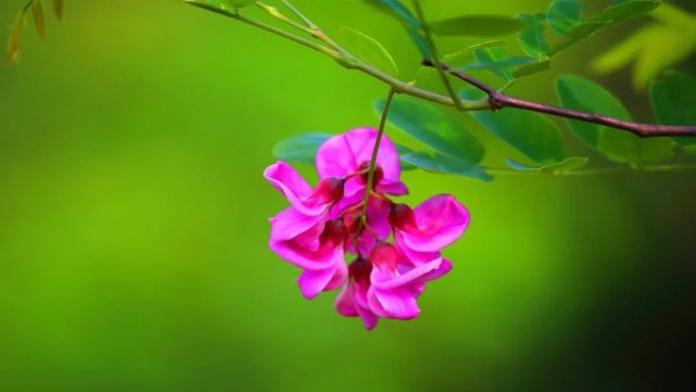 赵老师讲现世因果教育第46集共280集