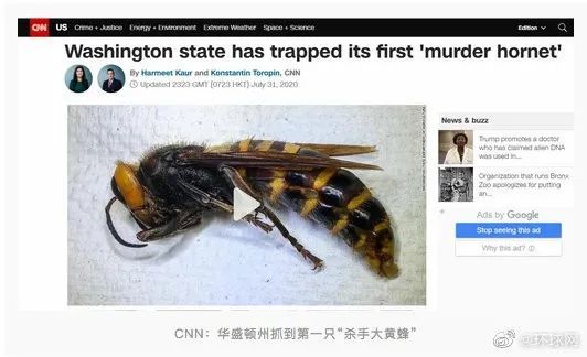 方舱医院|香港启用方舱医院；8月首日连续诞生两个台风