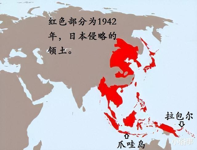 二战时,这位日军大将"不务正业",不打仗,天天研究如何种好旱稻,甘薯