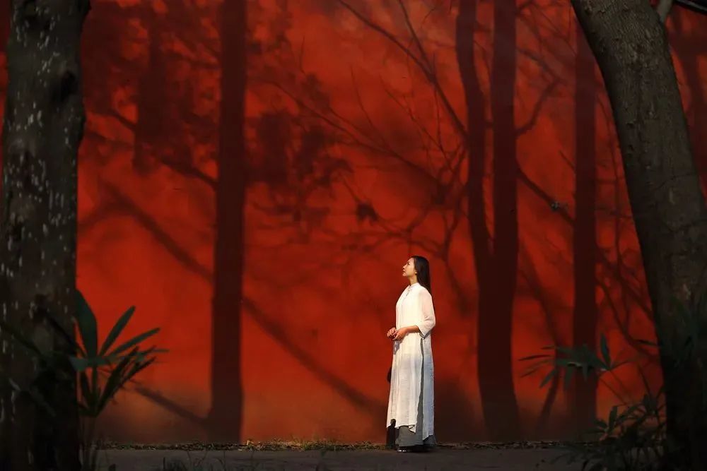 孔子|没本事的人，只会议论别人