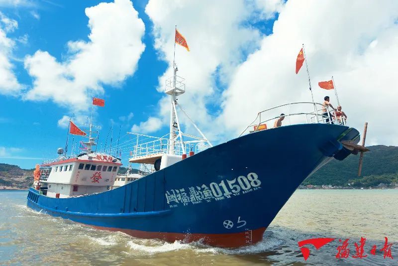 今天开始福鼎市场有好海鲜咯