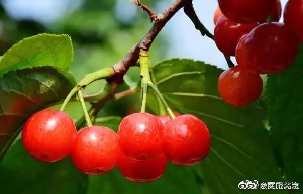 北京|看门头沟夏日美景