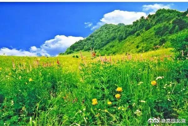 北京|看门头沟夏日美景