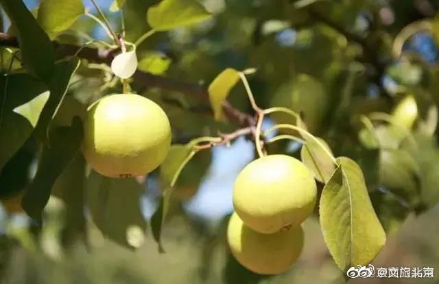 北京|看门头沟夏日美景