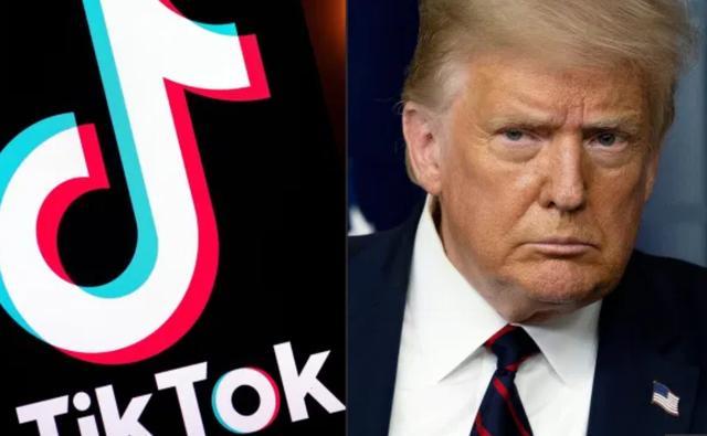 唐纳德·特朗普|特朗普将禁止TikTok在美运营，遭猛烈斥骂：特朗普，我们恨你