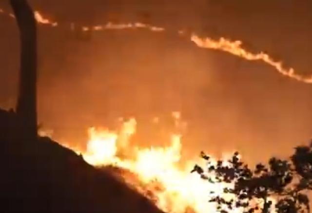 加利福尼亚州|灾上加灾，加州野火蔓延火光冲天致民众疏散，该州疫情仍持续严重