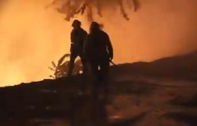 加利福尼亚州|灾上加灾，加州野火蔓延火光冲天致民众疏散，该州疫情仍持续严重