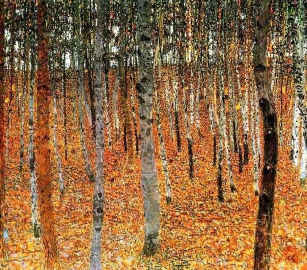 王人博|王人博：人其实很矮小，是被书垫高的